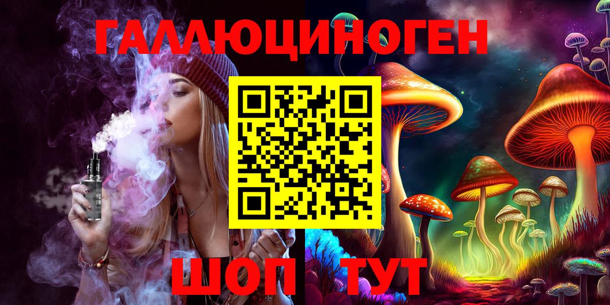 Строитель  Псилоцибиновые грибы Psilocybine cubensis  Вход с VPN 